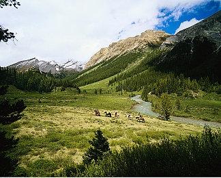 Steam为《最后的生还者》玩家退款 超过游玩时限也可以