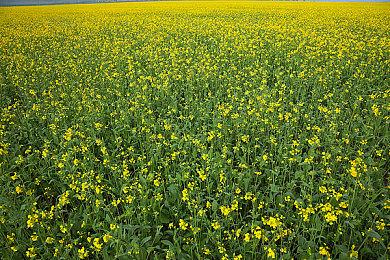 枪火游戏分享《遗迹2》“末日求生”预告片